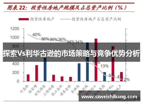 探索Vs利华古逊的市场策略与竞争优势分析