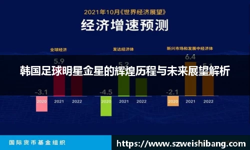 韩国足球明星金星的辉煌历程与未来展望解析