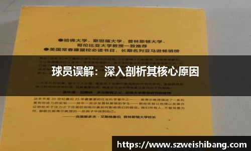 球员误解：深入剖析其核心原因